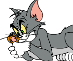 Tom - Tom and Jerry: Mouse About The House