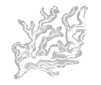 Carter's Spark Add-ons - Dead by Daylight