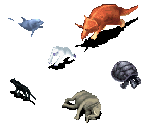 Animals - Zoo Tycoon 2 DS