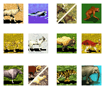 Animal Adoption Icons - Zoo Tycoon DS