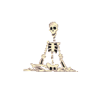 Skeleton - Mickey's Wild Adventure (PAL)