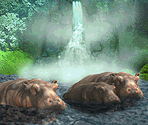 Plaques - Zoo Tycoon
