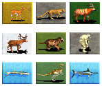 Animal Adoption Icons - Zoo Tycoon
