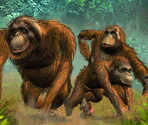 Plaques - Zoo Tycoon