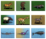 Animal Adoption Icons - Zoo Tycoon