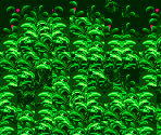 Aquatic Ruin Zone Act 2 (Underwater) - Sonic the Hedgehog 2