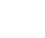 Nintendo Logo - System BIOS