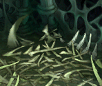 Bone Fortress - Legend of Mana