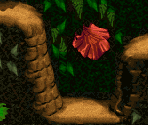 Barrel Cannon Canyon - Donkey Kong Country