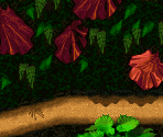 Bonus (Expresso) - Donkey Kong Country