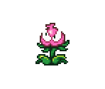 Flower - Violinist of Hamelin (JPN)