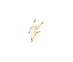 Miscellaneous Effects - Knights of the Round