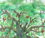 Life Tree Island - SaGa Frontier 2