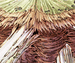 Monster Nest - SaGa Frontier 2