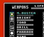 Pause Screen - Mega Man 4
