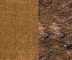 Terrain - Zoo Tycoon
