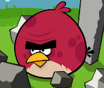 The Big Setup - Angry Birds Chrome