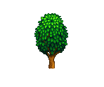 Trees - Stardew Valley