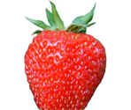 Strawberry - Chop Chop Fruit salad Mystery Jam DokiDoki Dating Sim THingy