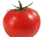 Tomato - Chop Chop Fruit salad Mystery Jam DokiDoki Dating Sim THingy