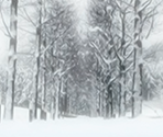 Backgrounds - Harvest December ~ Winter ~