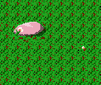 Stage 1 - Touhou Kaikidan (Mystic Square)