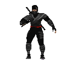 Ninja - Shadow Warrior