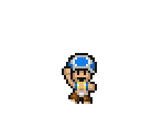 Toad - Mario Customs