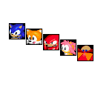 Character Race Icons - Sonic R