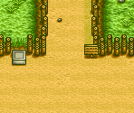Street (Spring) - Harvest Moon