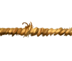 Rope - Rayman Legends