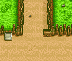 Street (Summer) - Harvest Moon