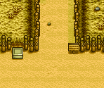Street (Fall) - Harvest Moon