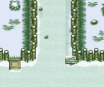 Street (Winter) - Harvest Moon