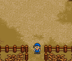 Mountain Top (Fall) - Harvest Moon