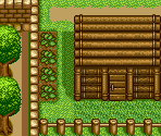 Village (Summer) - Harvest Moon