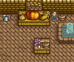 Village (Harvest Festival) - Harvest Moon