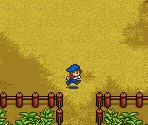 Mountain Top (Spring) - Harvest Moon
