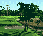 Results & Credits - Neo Turf Masters / Big Tournament Golf