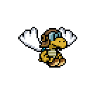 Parakarry - Paper Mario Customs