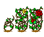 Berry Field - Caveland