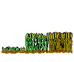 Grain Field - Caveland