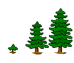 Tree Nursery - Caveland