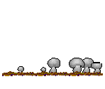 Mushroom Farm - Caveland