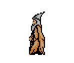 Wizard - Magician