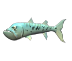 Barracuda - Feeding Frenzy