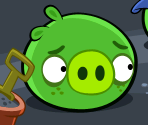 Cutscenes - Bad Piggies