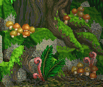 Million Year Old Man's Room - Tomba! / Tombi!
