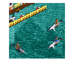 Dolphin Ride - RollerCoaster Tycoon 2