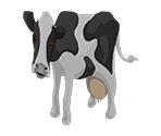 Cow - Dead End Road